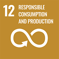 SDGs icon12