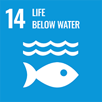 SDGs icon14