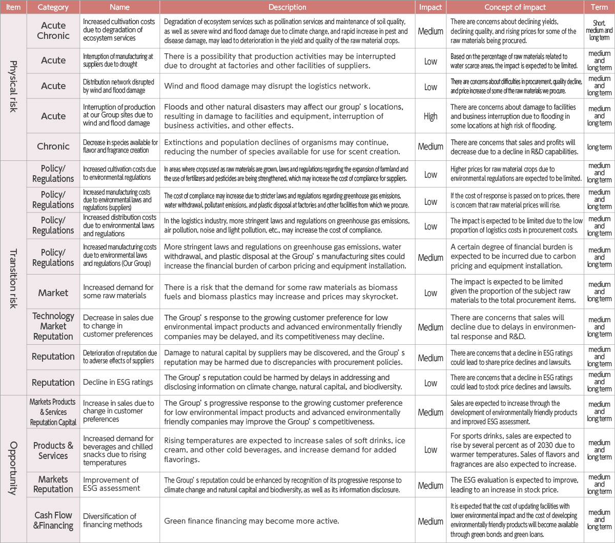 Main risks and opportunities