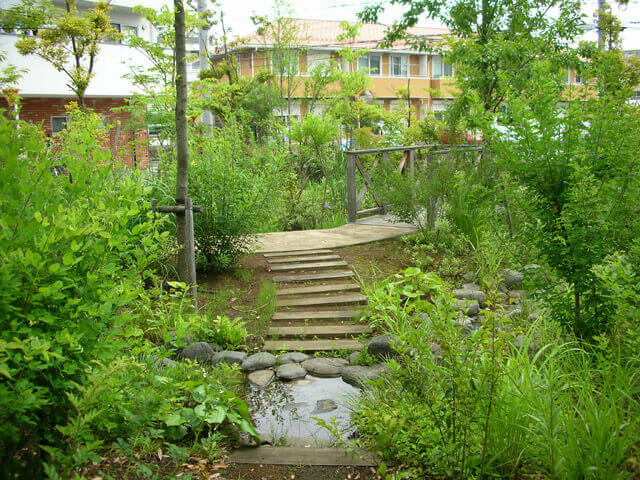 Establishment of a biotope in the R&D Center01