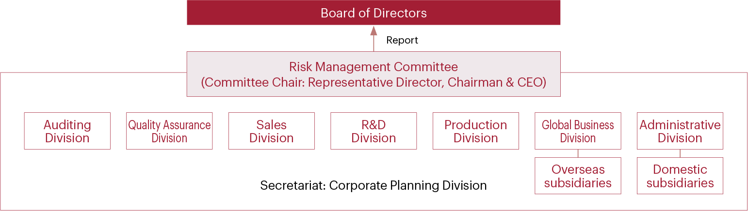 Risk Management Committee structure chart